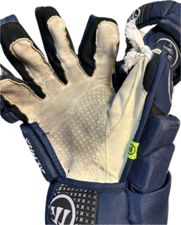 Warrior Alpha FR2 Pro Gloves
