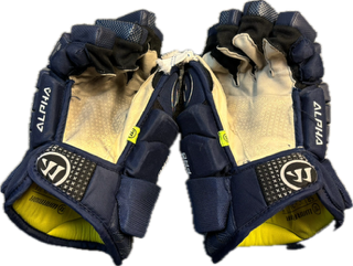 Warrior Alpha FR2 Pro Gloves