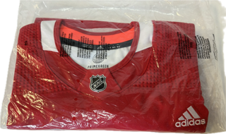 Detroit Red Wings Adidas Practice Jersey